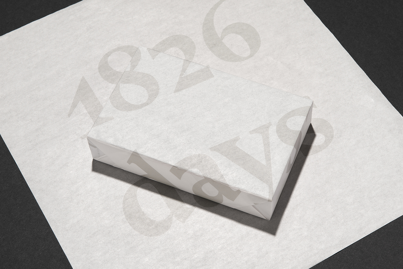 1826 days – The five years plan, Projektansicht 2