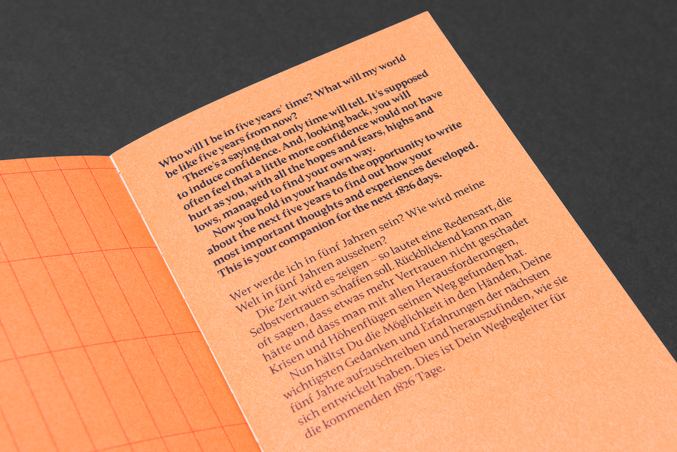 1826 days – The five years plan, Projektansicht 3