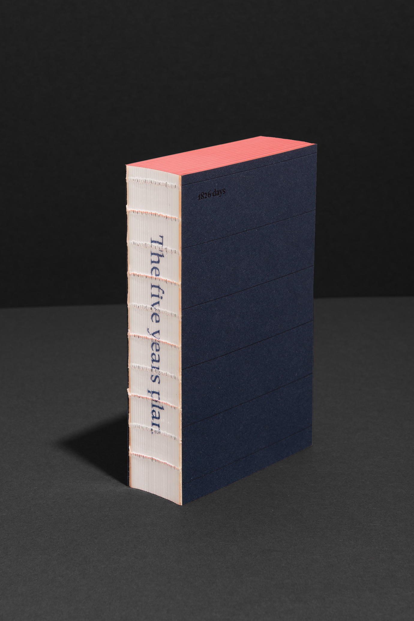 1826 days – The five years plan, Projektansicht 11