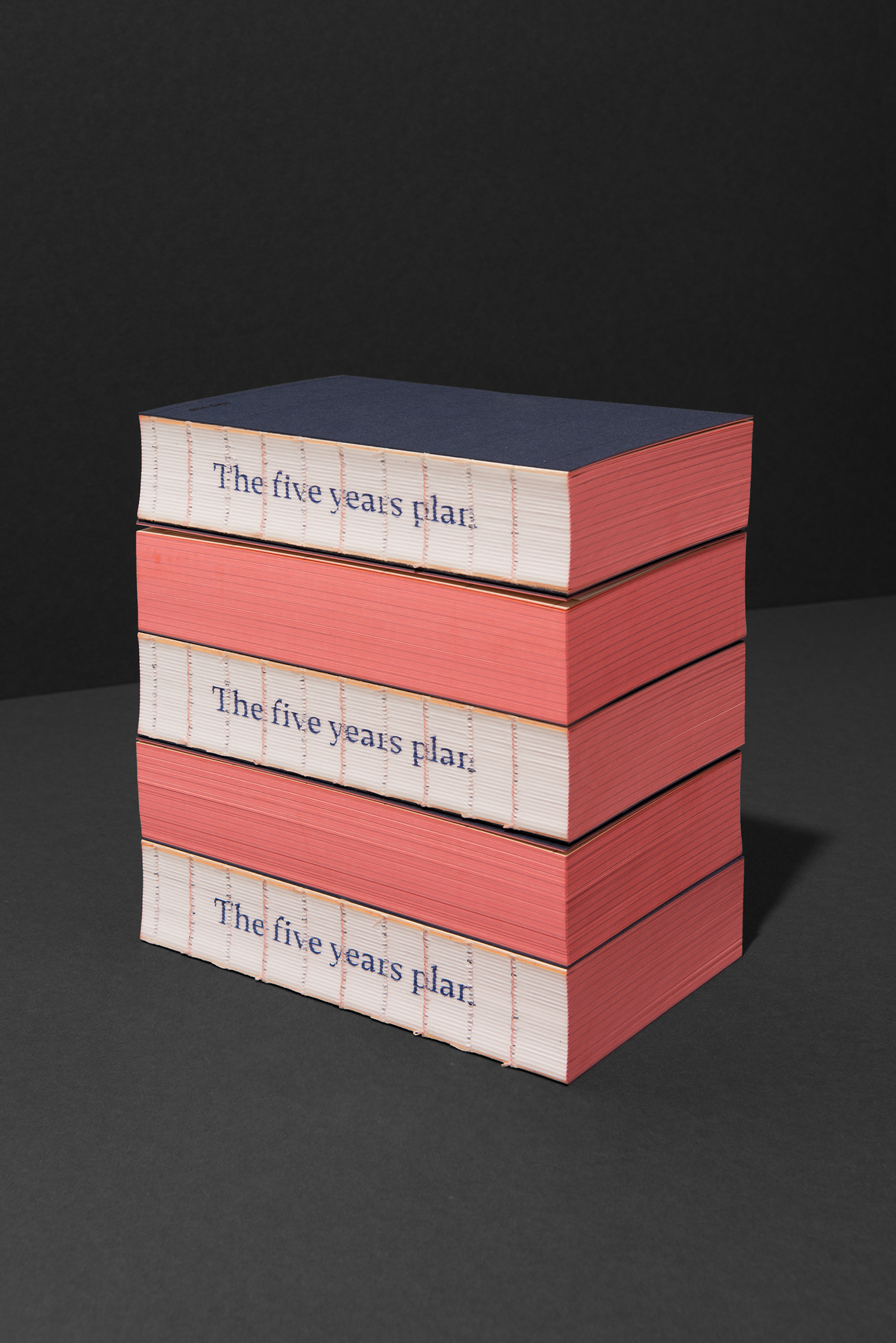 1826 days – The five years plan, Projektansicht 12