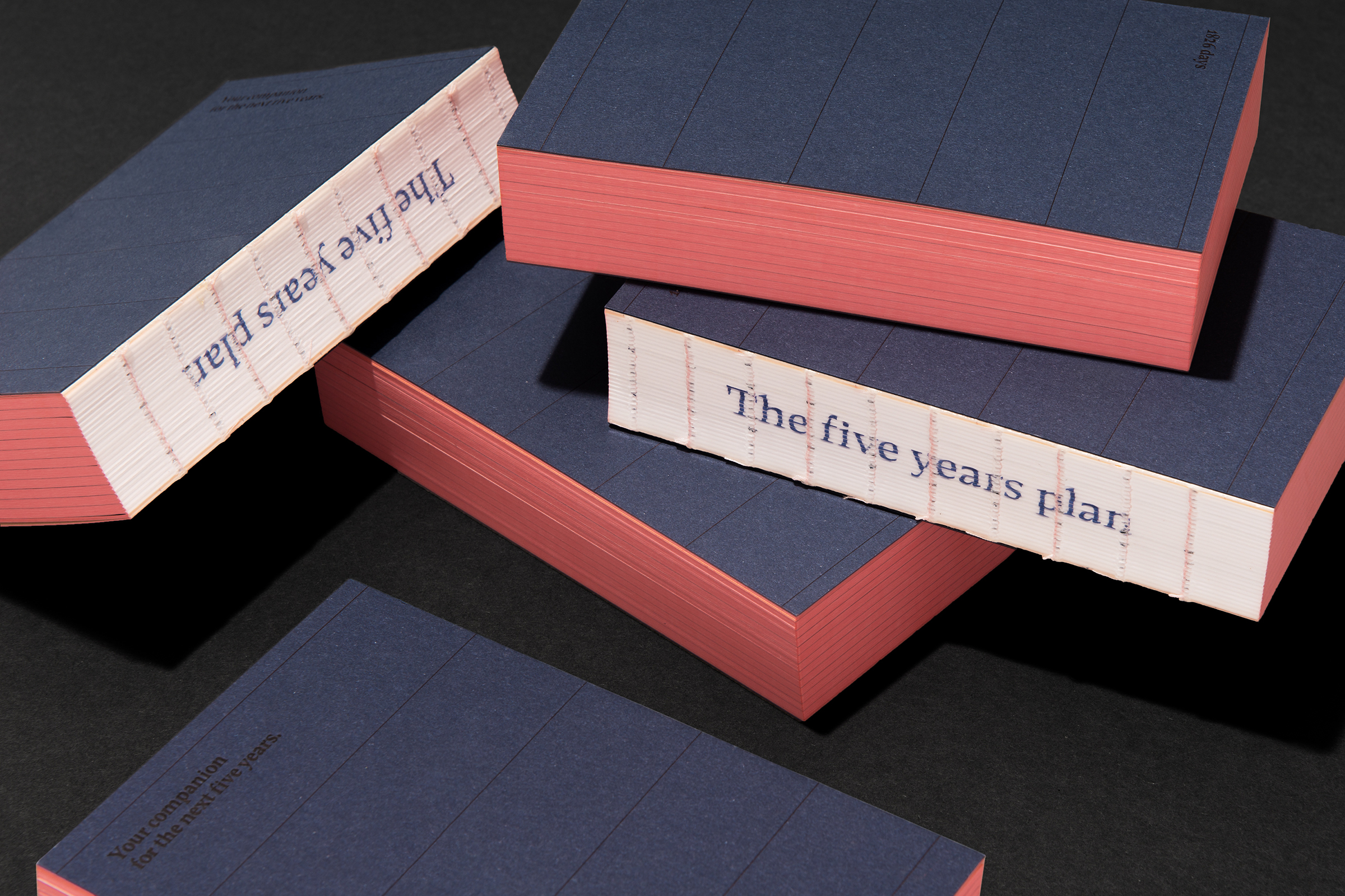 1826 days – The five years plan, Projektansicht 1